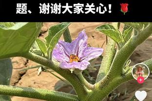 ?随心所欲！哈登首节0分5助 第二节6中5怒砍15分2助